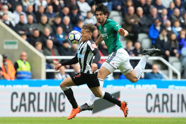 皇家社会在 皇家社会在